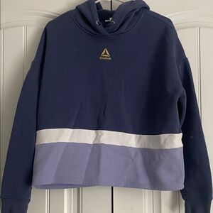 Reebok Dark Blue and Lavender Sweatshirt
